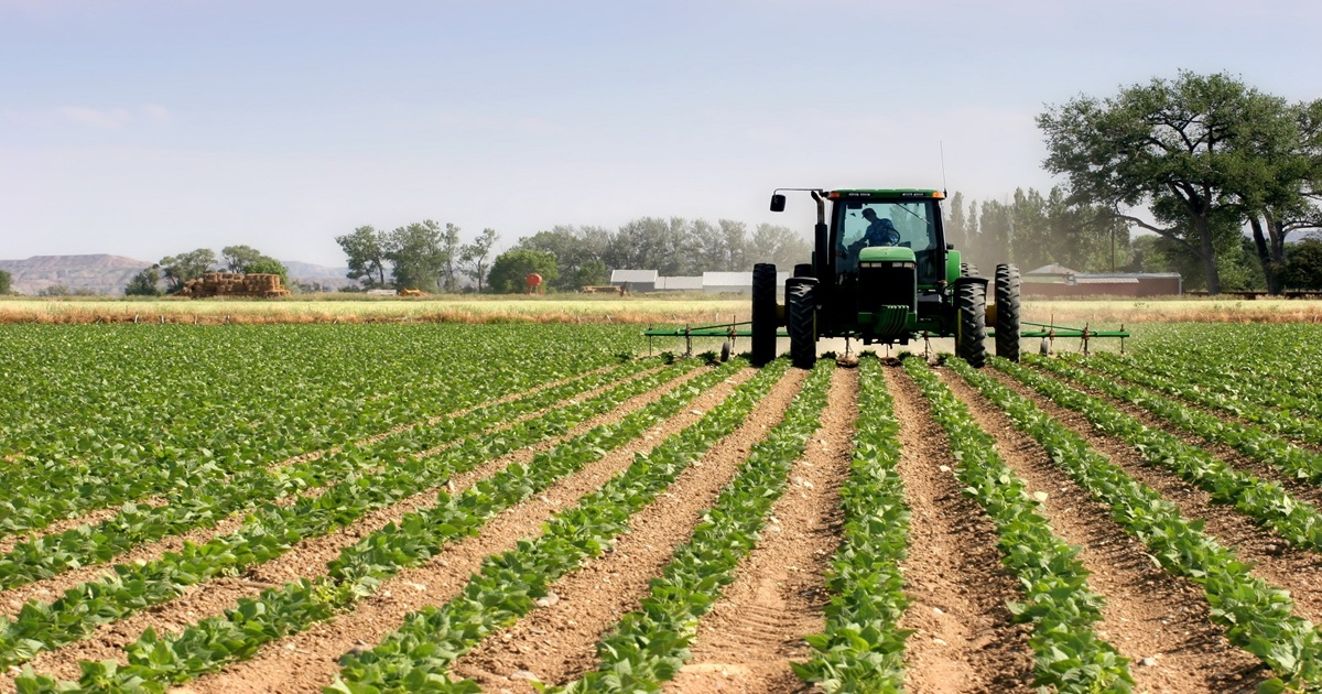 La cartera de Agricultura, pendiente del nuevo Gobierno