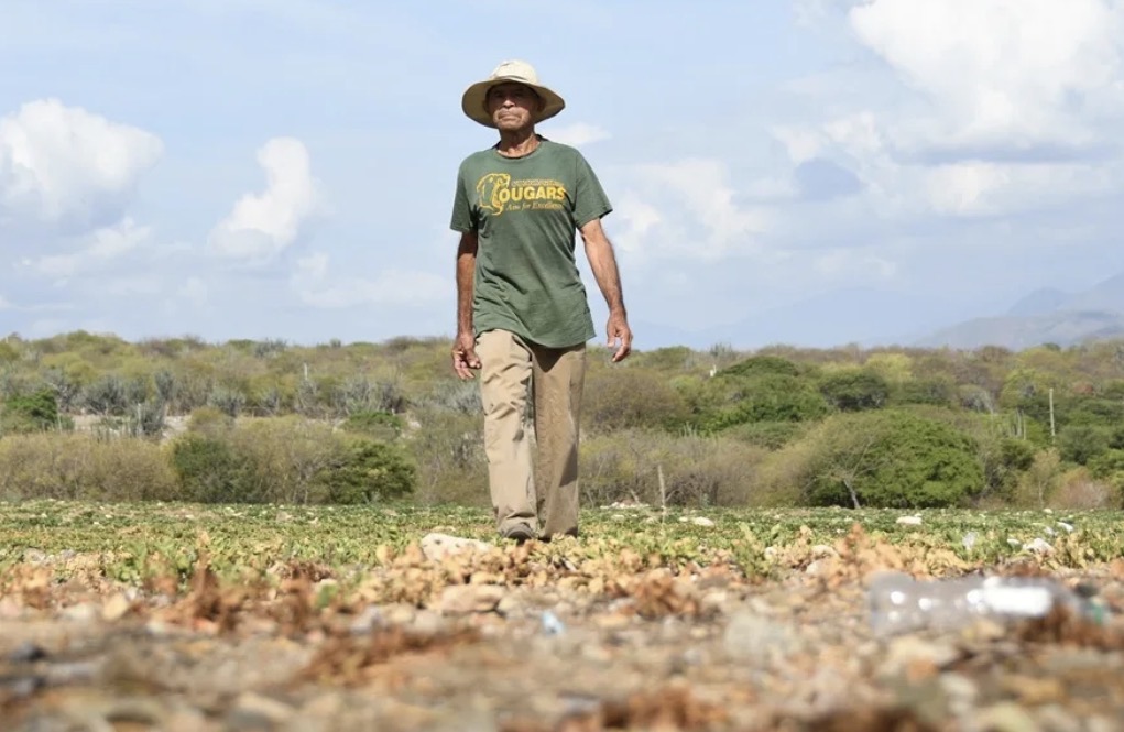El campo guatemalteco pierde sus cultivos ante una sequía cada vez más severa.