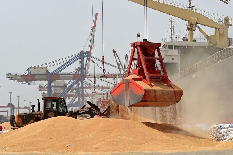Rusia aumenta sus envíos de cereales a Marruecos pese a la caída de sus exportaciones globales