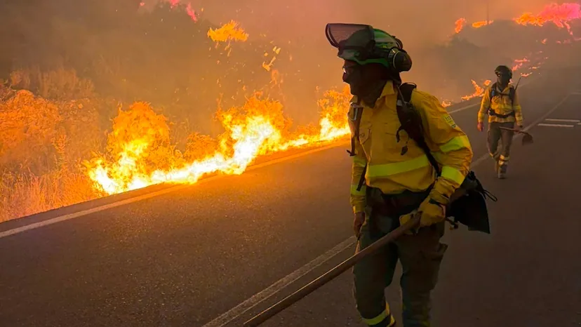 Tragedia sin precedentes en Almería: doce muertos en el incendio de Los Gallardos con turistas extranjeros entre las víctimas