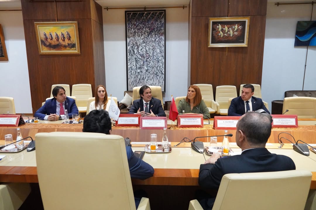 WhatsApp Image 2026-04-06 at 17.03.22 (1).jpeg