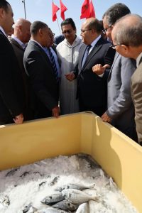 Desde las costas de Sidi Ifni, Marruecos pone en marcha el primer proyecto de acuicultura en alta mar de África.