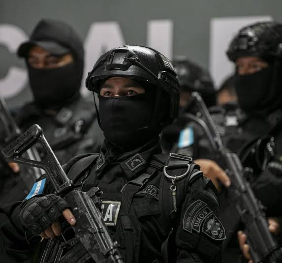 Honduras declara terr.ori.stas a tres organizaciones criminales.