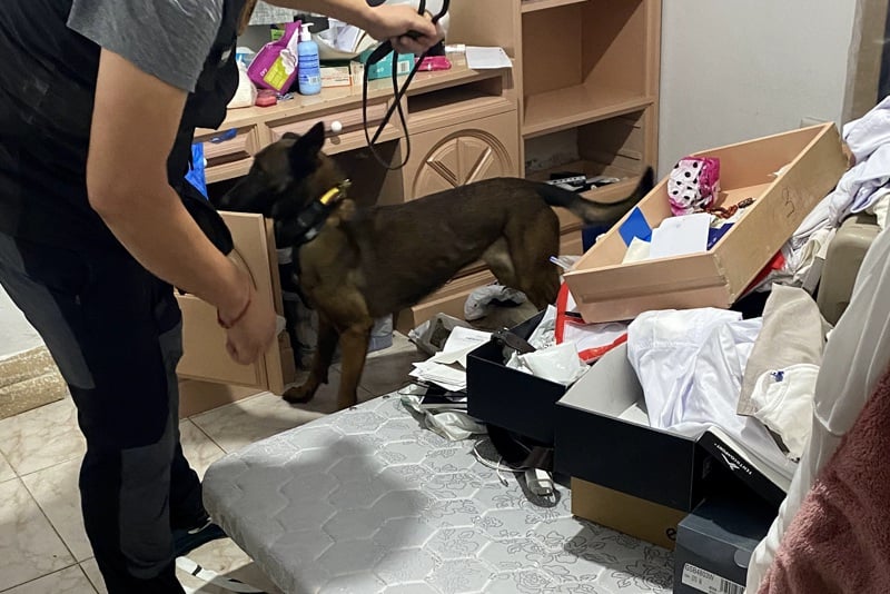 Maribero : seguimiento