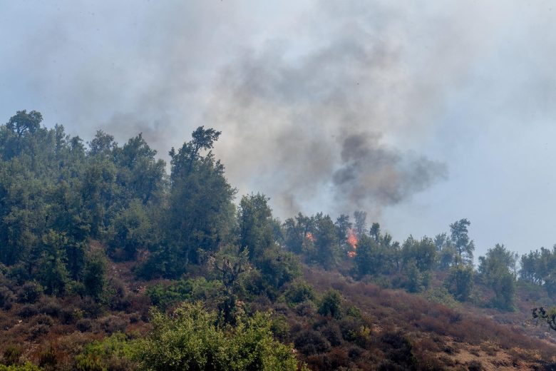 Marruecos pierde casi 600 hectáreas de bosque por incendios en tres provincias