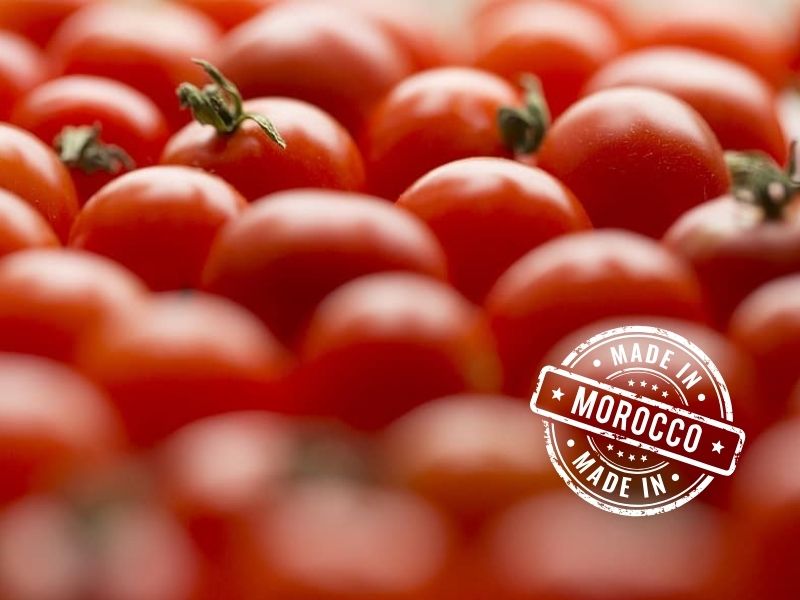 Marruecos lidera exportaciones de tomate y lanza plan para expandirse fuera de Europa
